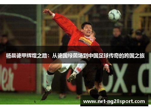 杨晨德甲辉煌之路：从德国绿茵场到中国足球传奇的跨国之旅