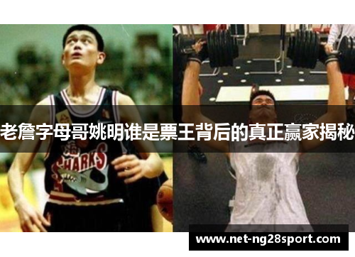 老詹字母哥姚明谁是票王背后的真正赢家揭秘